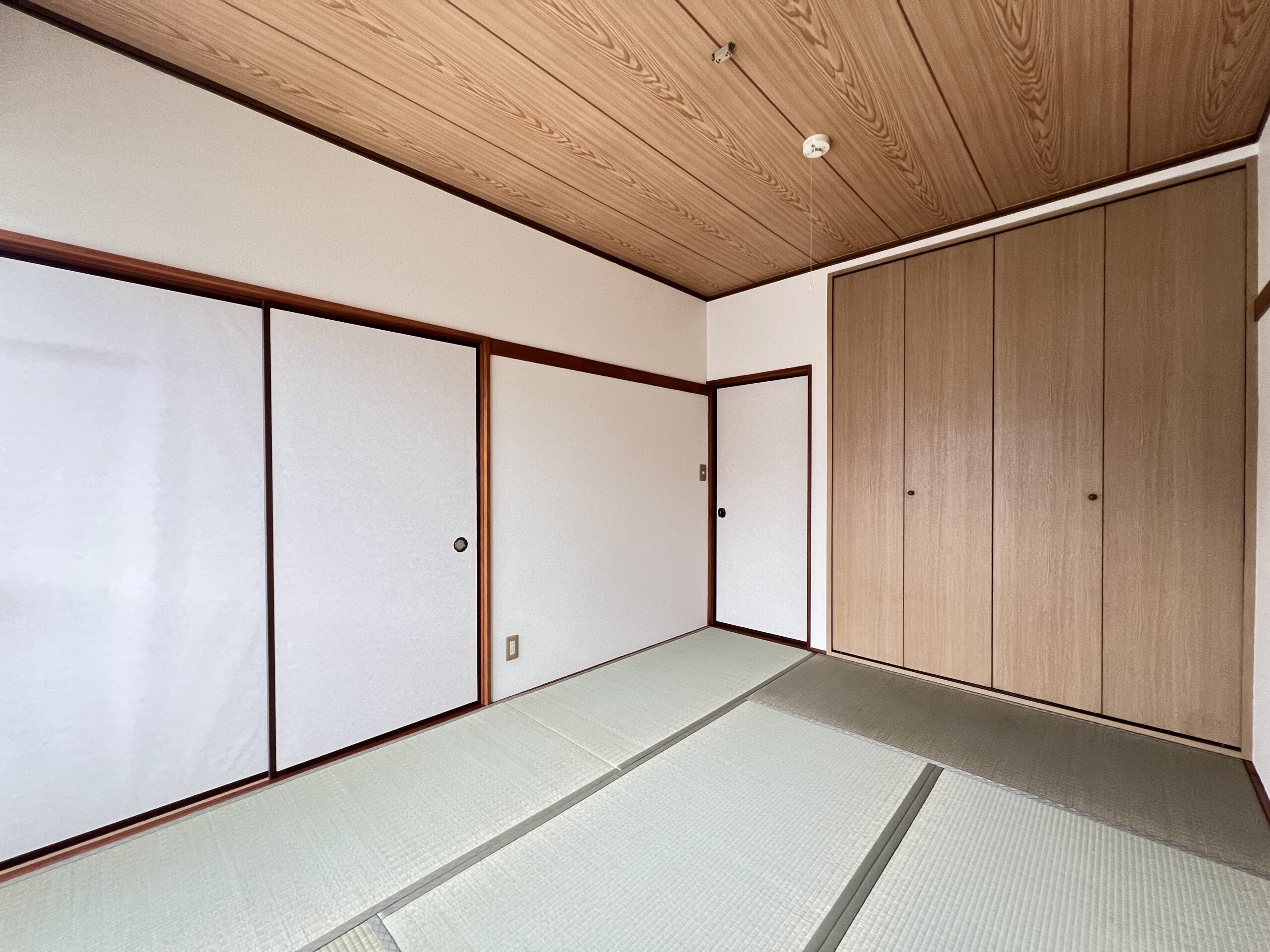 カーサー川入203号室の画像